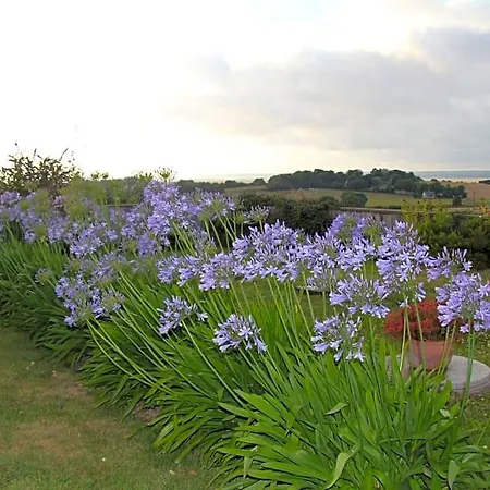 Les Agapanthes 3*